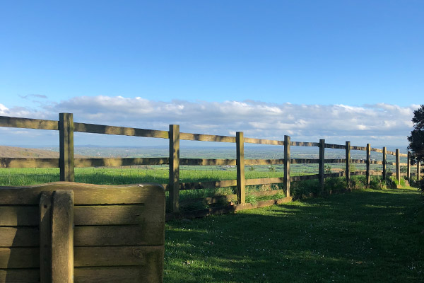 Deluxe Two-bedroom Suite